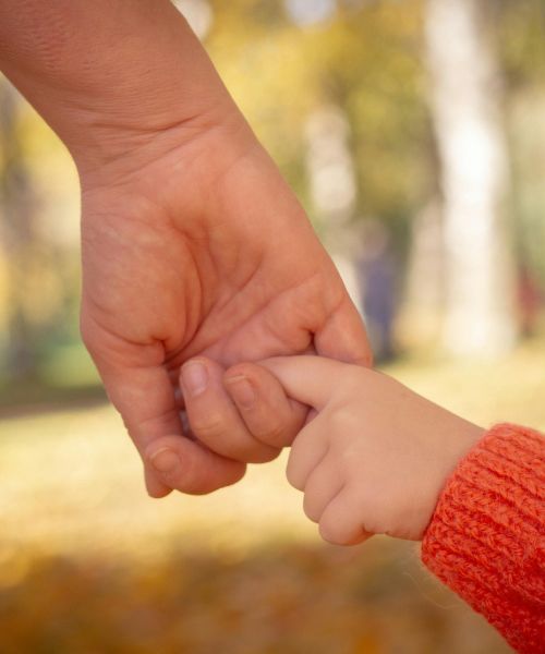 parents rights attorney in San Antonio and Boerne